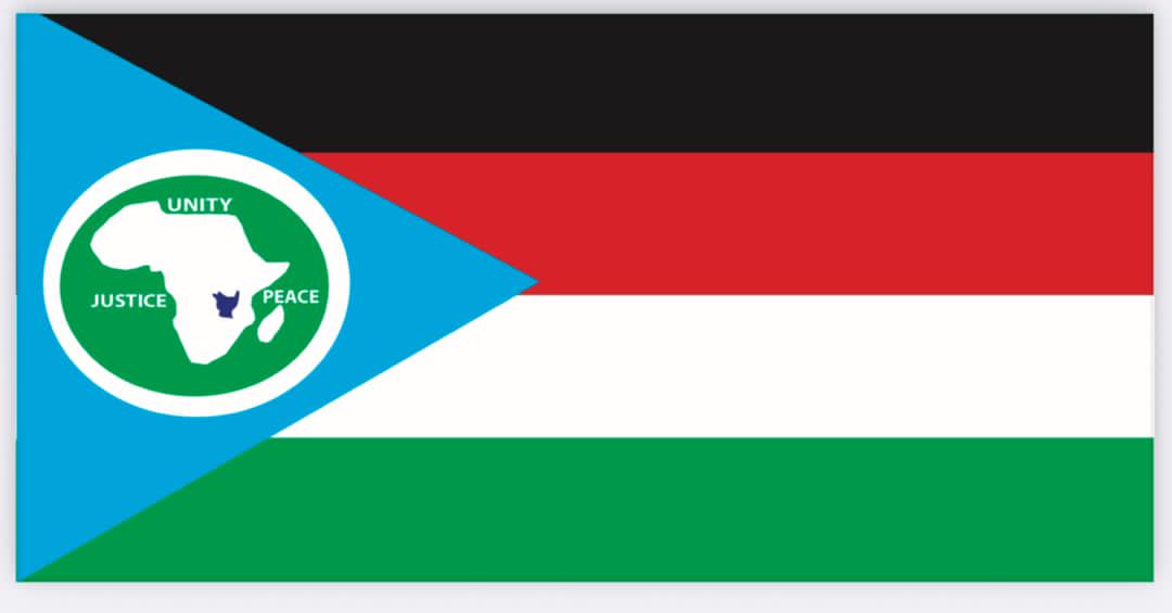 SSANU party flag